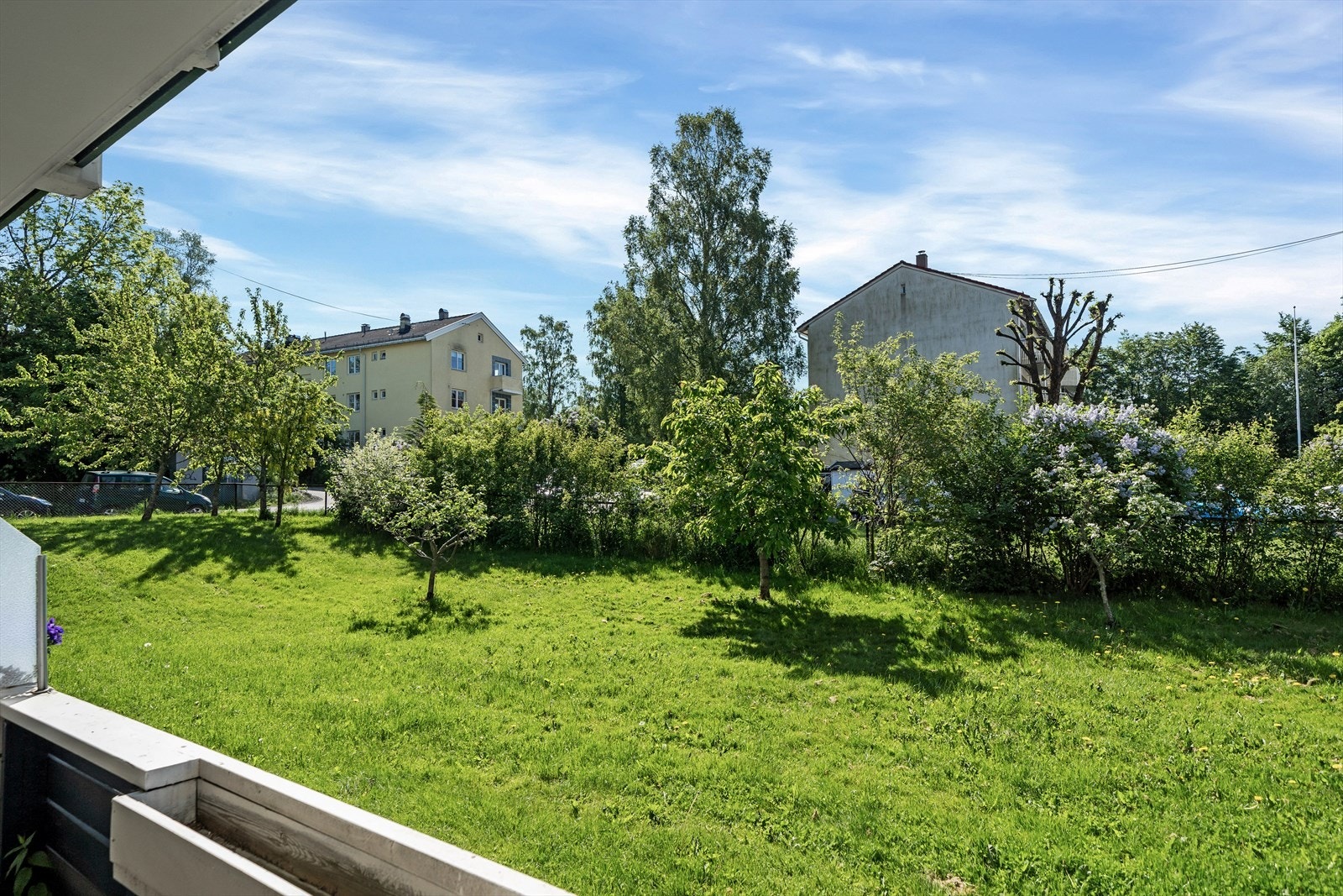 Frodig felles hage Galleribilde