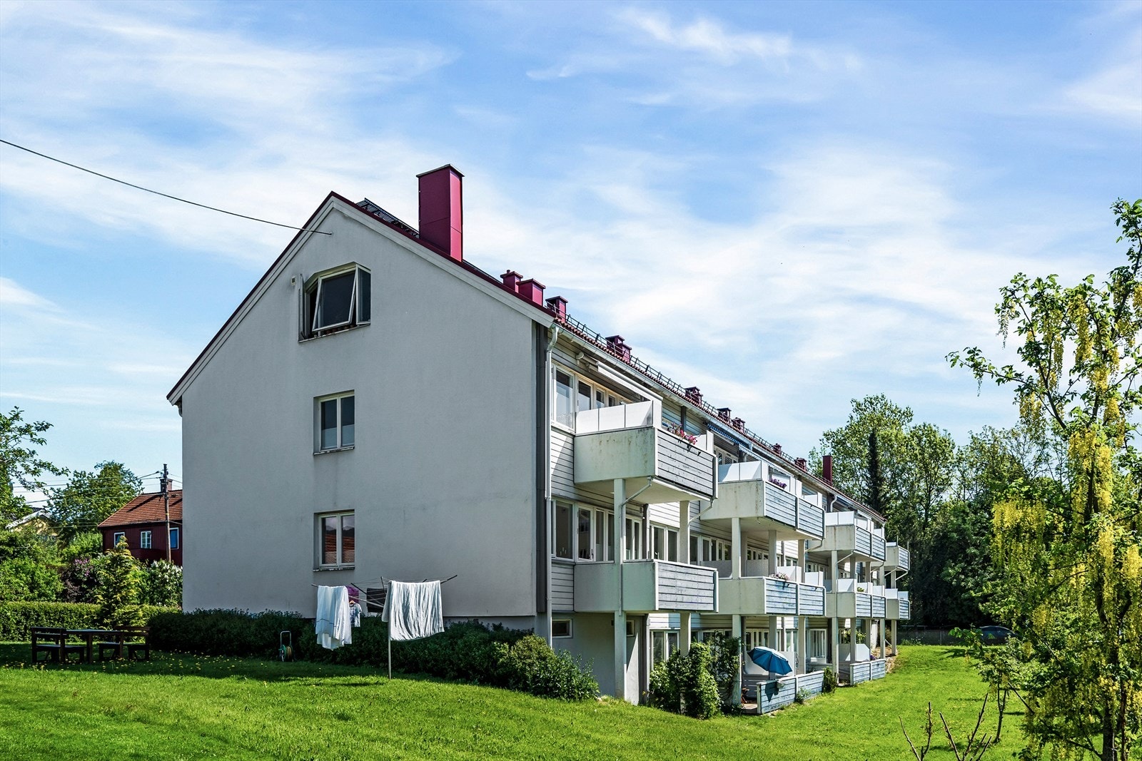 Frodig felles hage Galleribilde