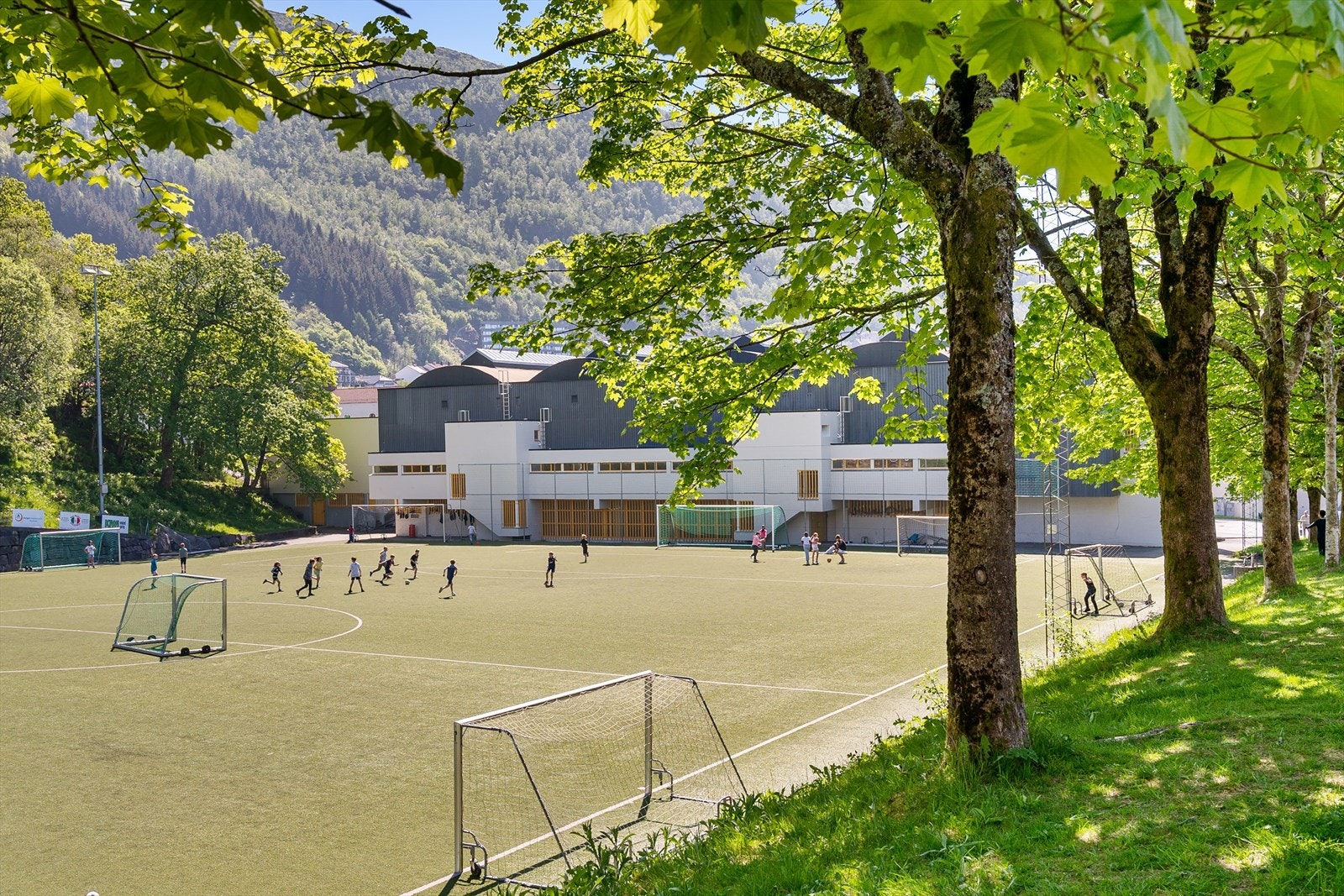 Område Galleribilde