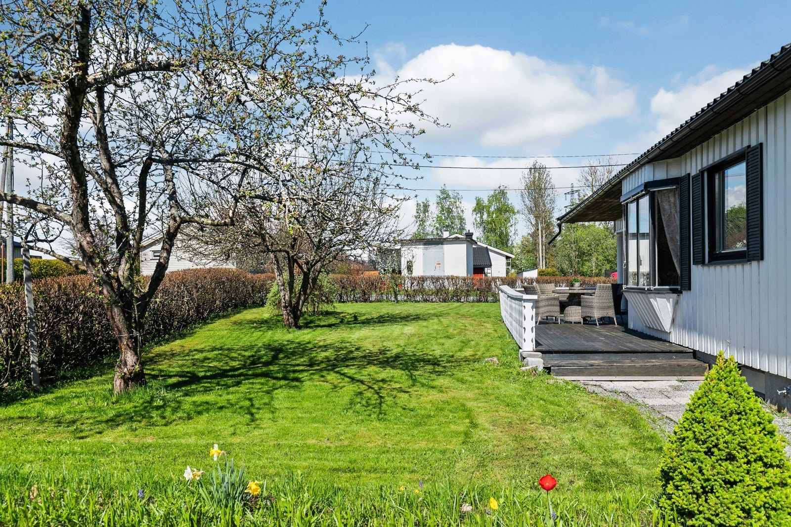 I hagen er det plen, prydbusker, bed og frukttrær. Galleribilde