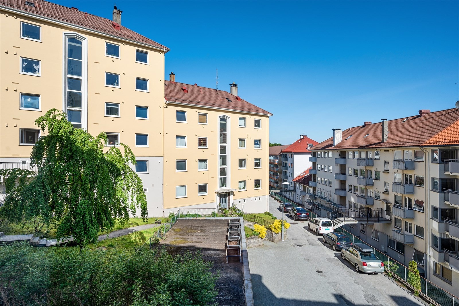 Område Galleribilde