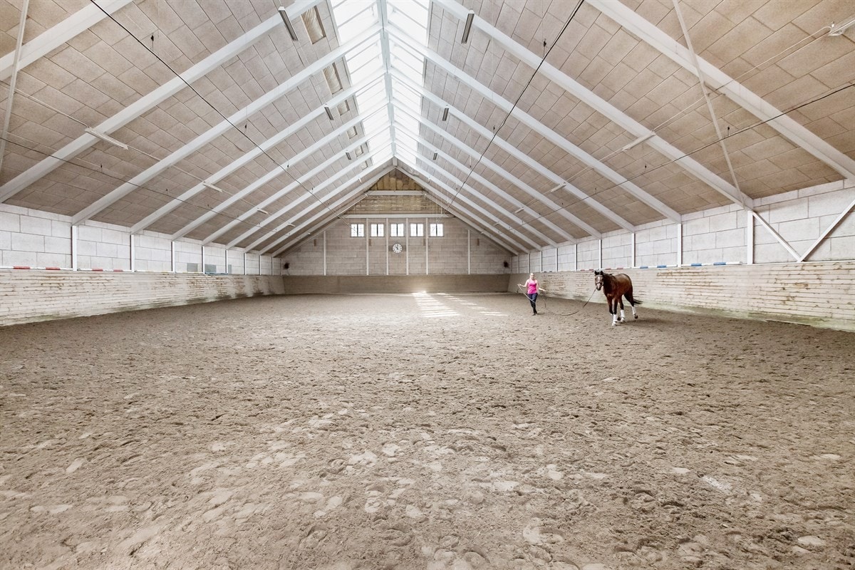 Ridehall med tribune Galleribilde