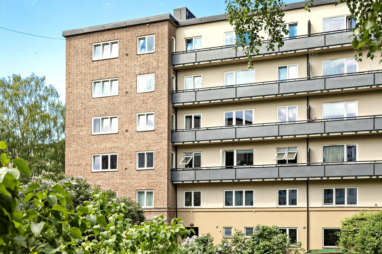Fasade. Galleribilde