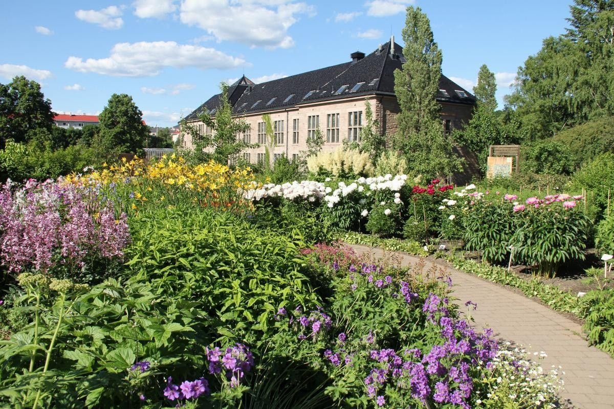 Det er også umiddelbar nærhet til Ola Narr, Tøyenparken og Botanisk hage. Galleribilde