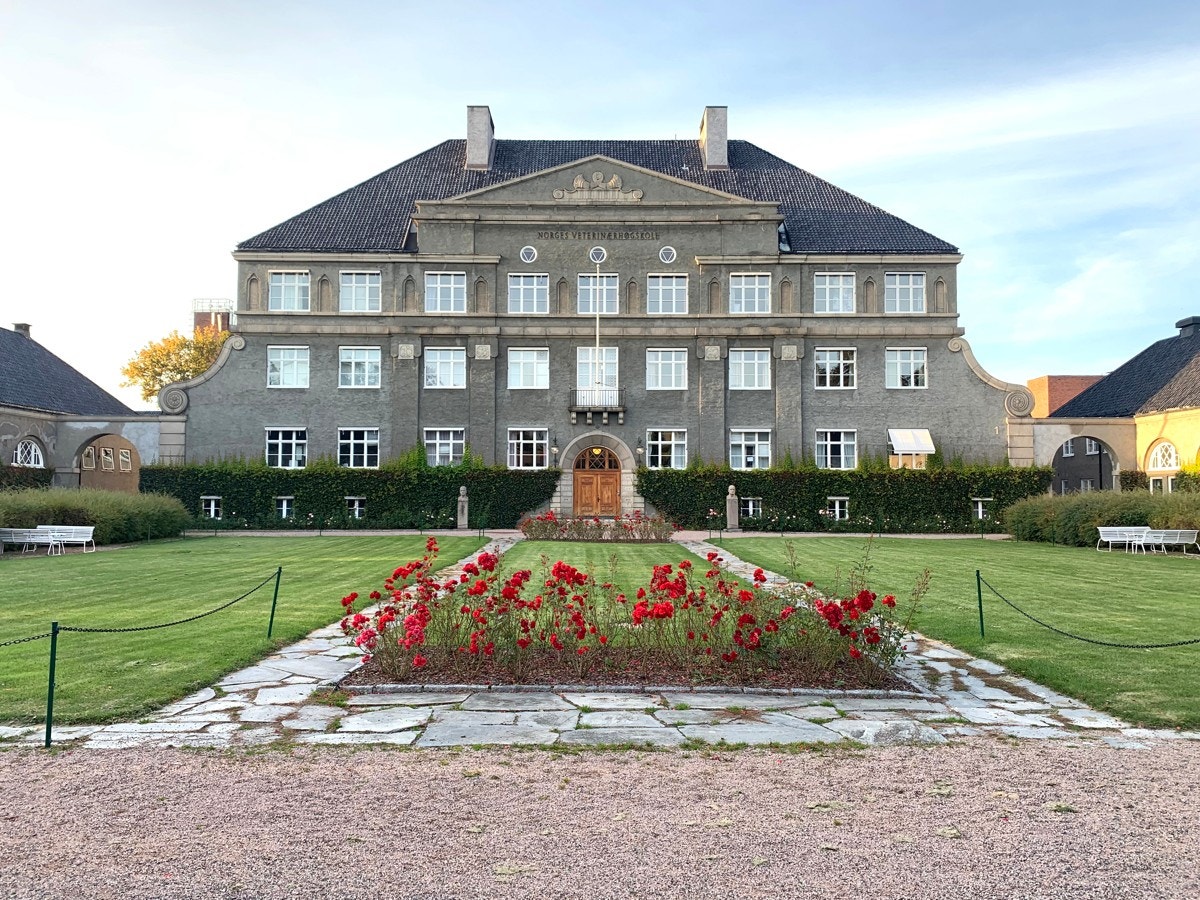 Storslagen bebyggelse i nærområdet - her fra Norges Veterinærhøgskole Galleribilde