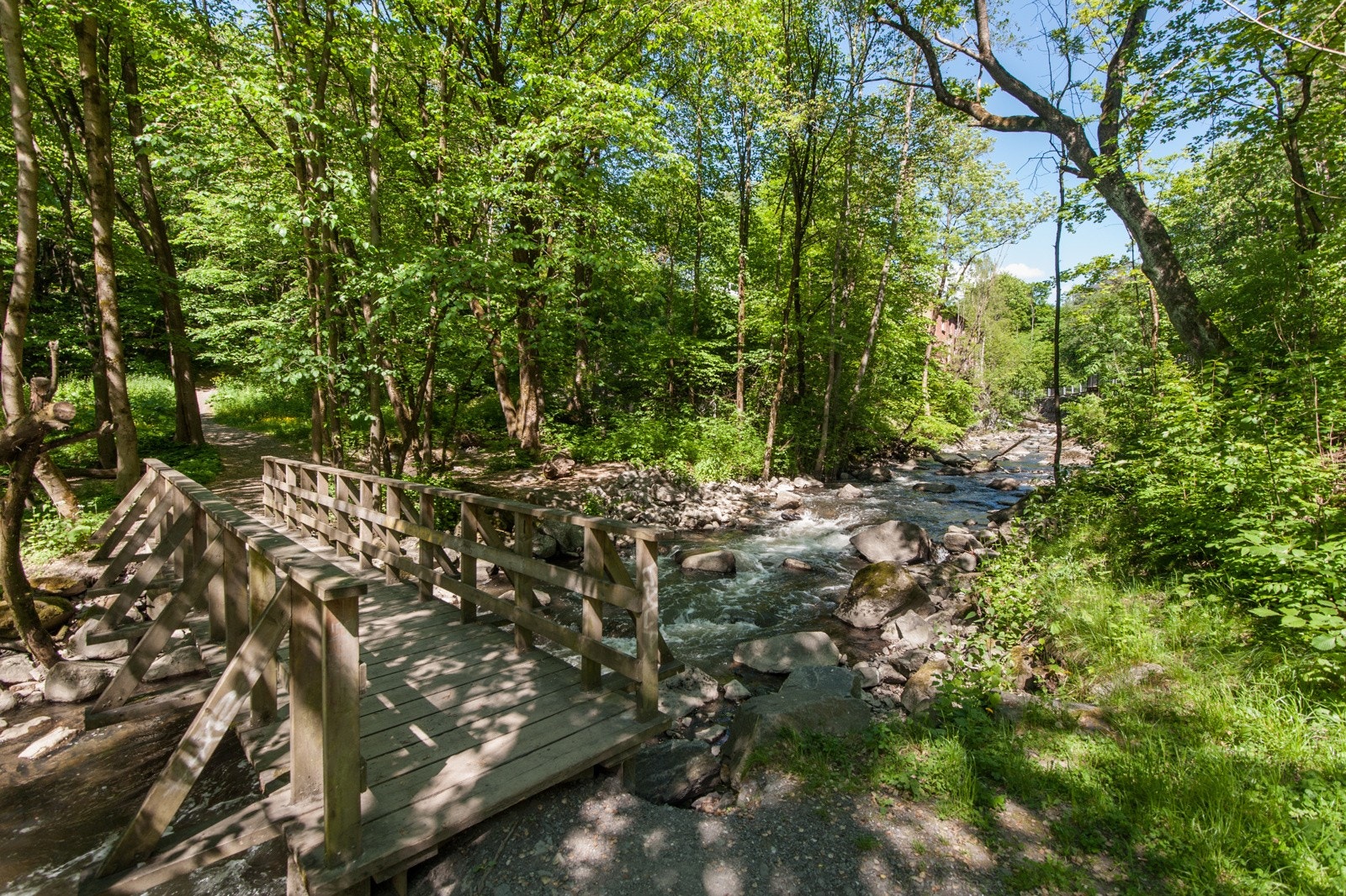 Et mangfold av idylliske parker og friarealer som Middelalderparken, Ruinparken, Skulpturparken i Ekebergskogen, urskogen langs Alnaelva, Vannspeilet, Svartdalsparken og Ekebergsletta innen gangavstand med fantastiske tur- og rekreasjonsarealer. Galleribilde