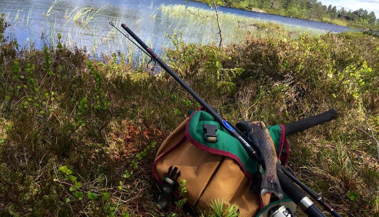 Muligheter for småviltjakt og fiske Galleribilde