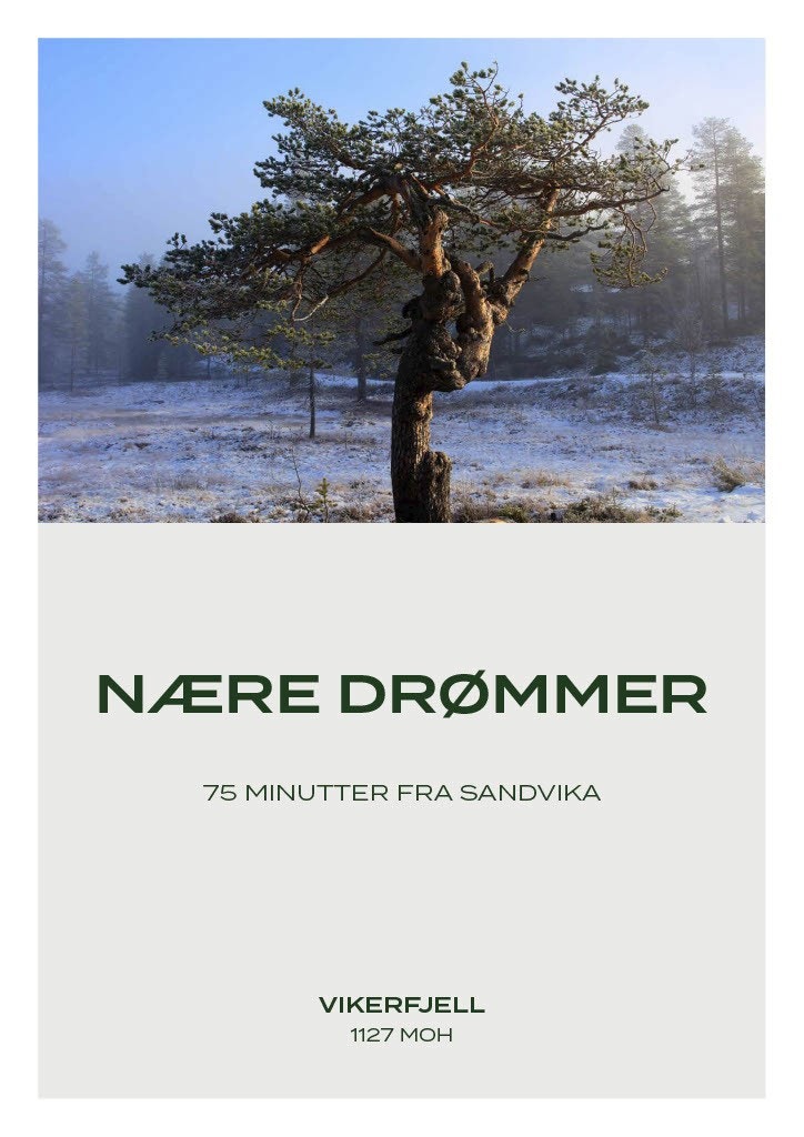 Nære drømmer Galleribilde