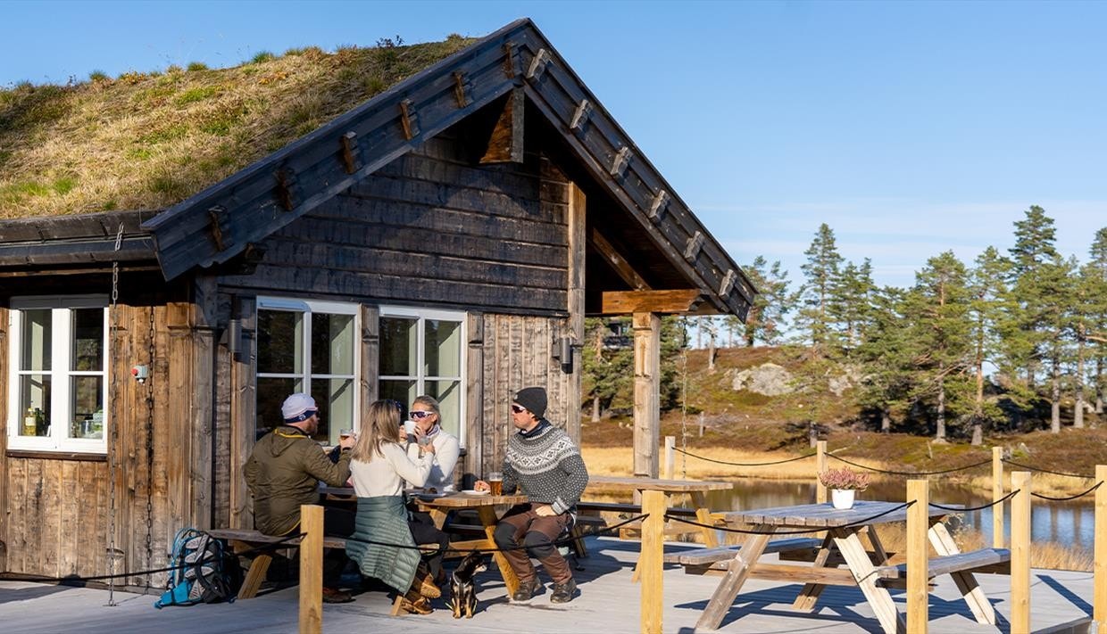 Ringerudseter Galleribilde