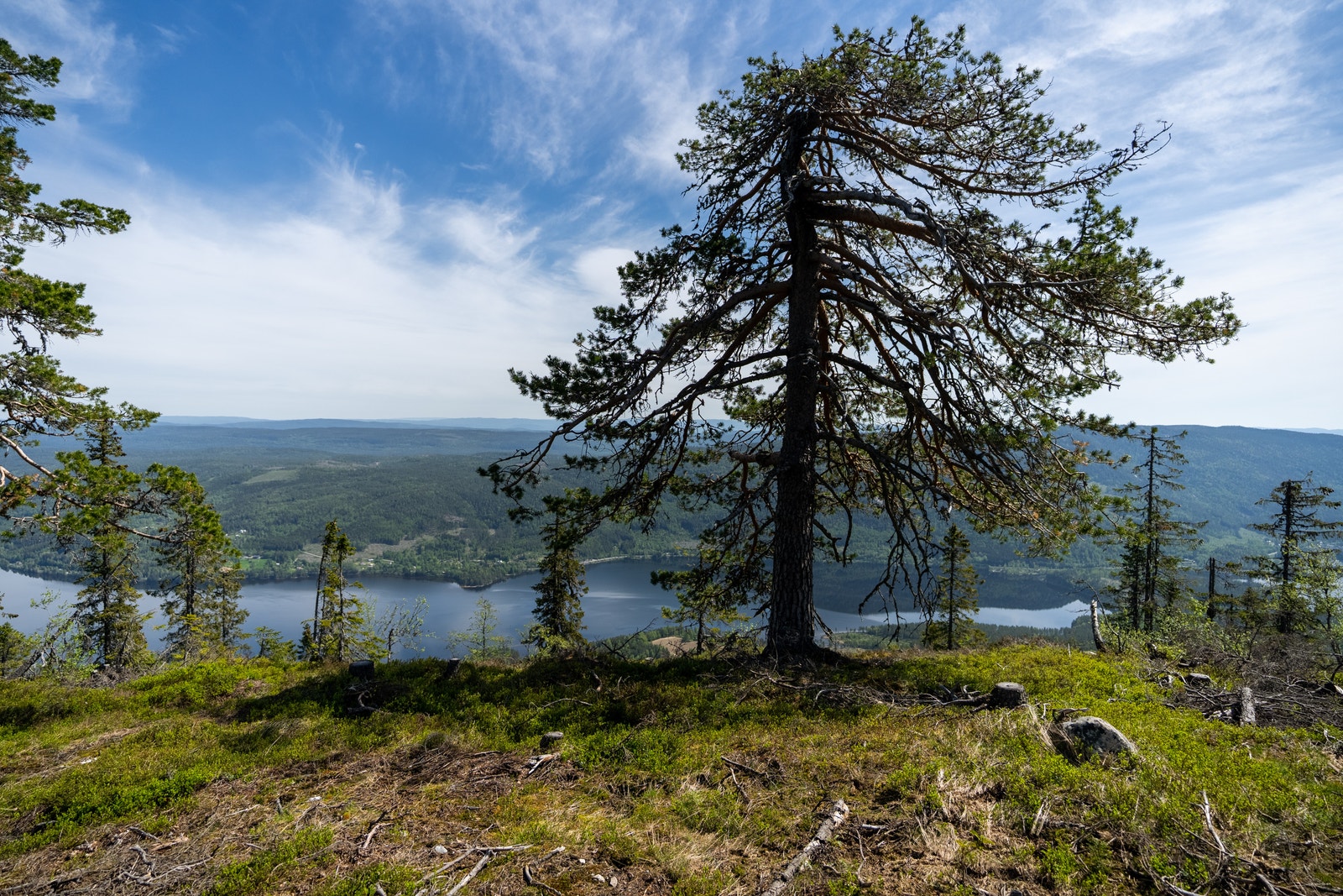 750 moh Galleribilde