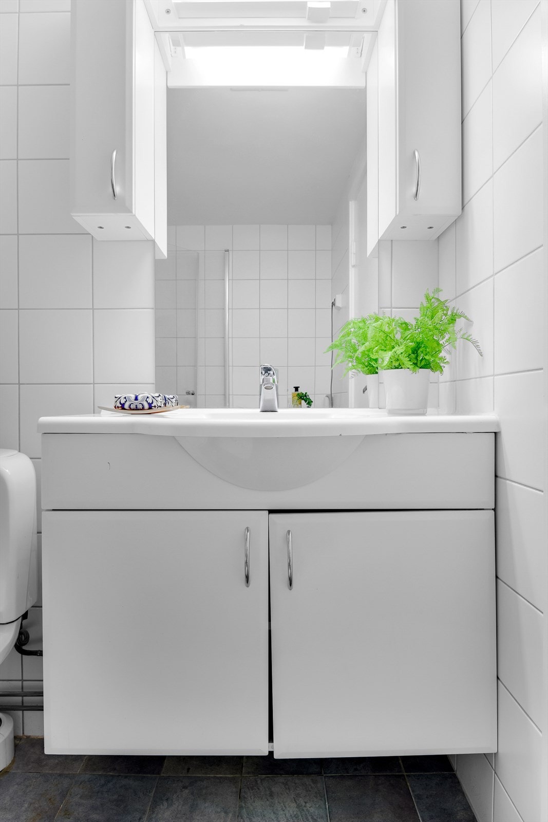 Skapplass og speil på badet. Galleribilde