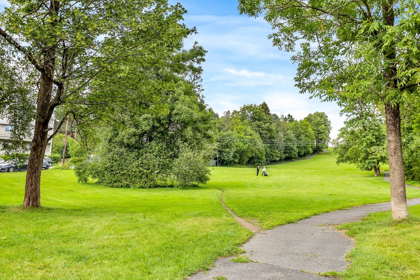 Nabolaget byr på fantastiske parkbelter som er flittig i bruk til både tur/aking og lek. Havnabakken og Damefallene brukes også sin turtrasé til Nordmarka. Galleribilde