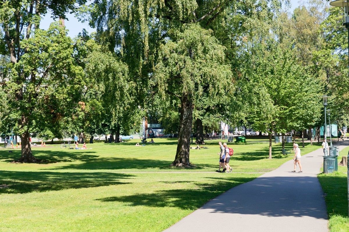 Sofienbergparken er et idyllisk sted å nyte varme sommerdager. Galleribilde
