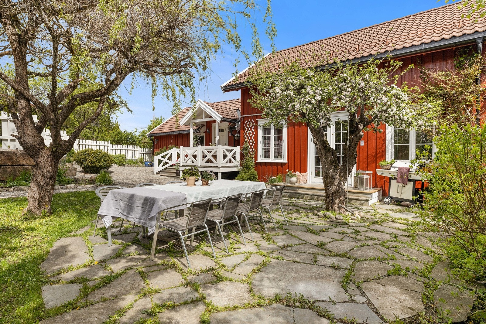 Platting med inngang til stuen. Hyggelig tre som gir le for solen og skaper en sval sitteplass. Galleribilde