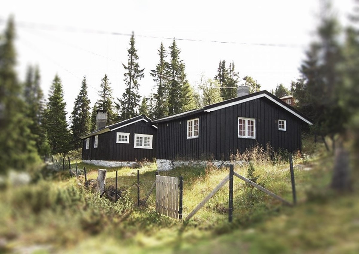 Fasade sommerstid Galleribilde