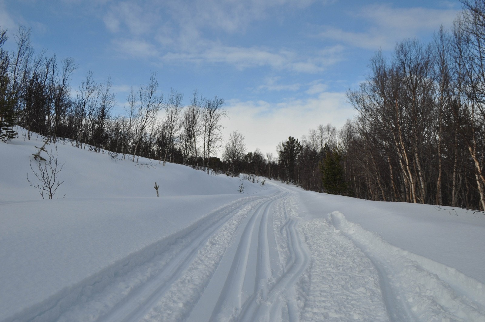 Det går flere skispor ved og igjennom Gammelvollia hyttefelt Galleribilde