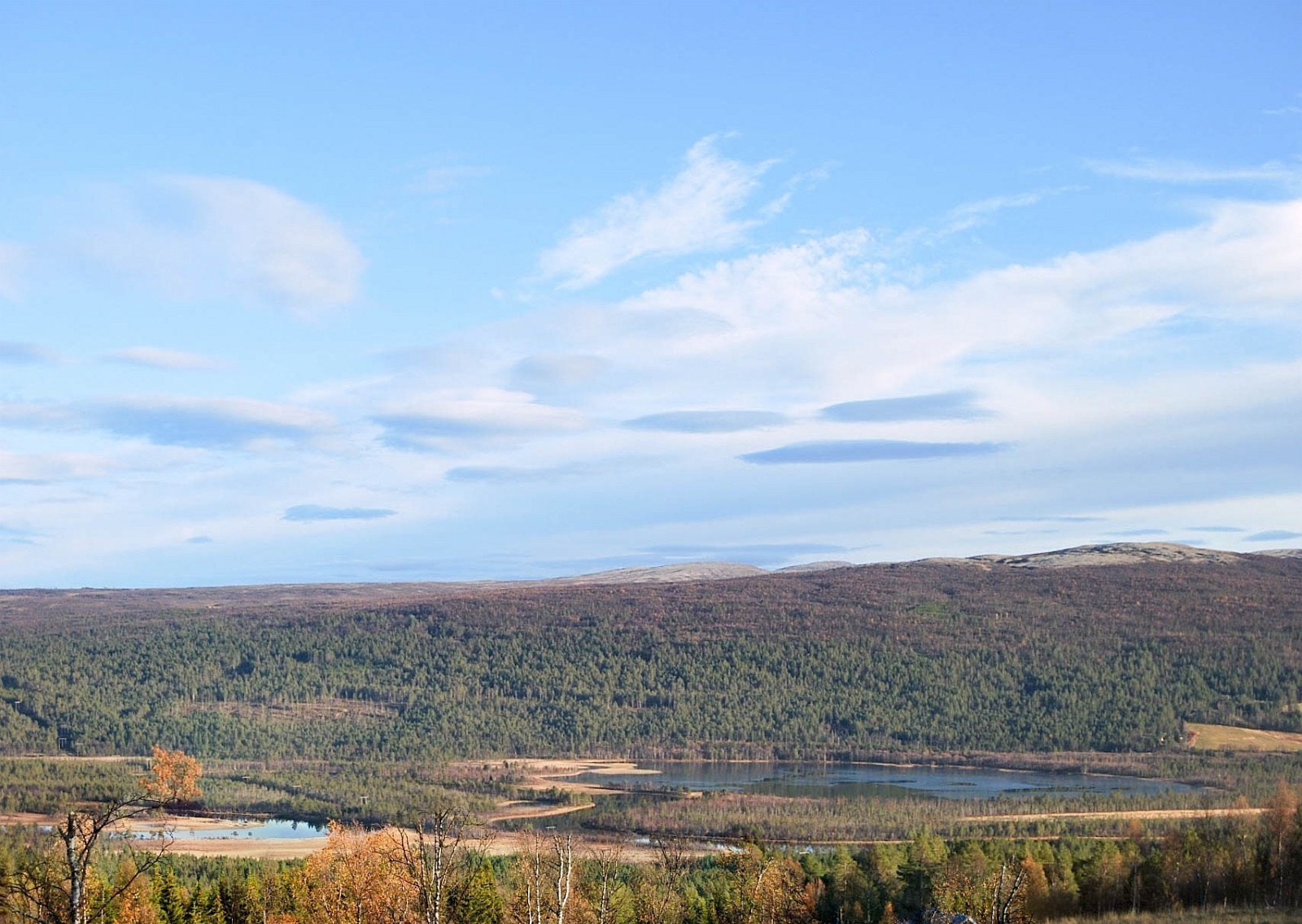 Foto: Grunneier Galleribilde