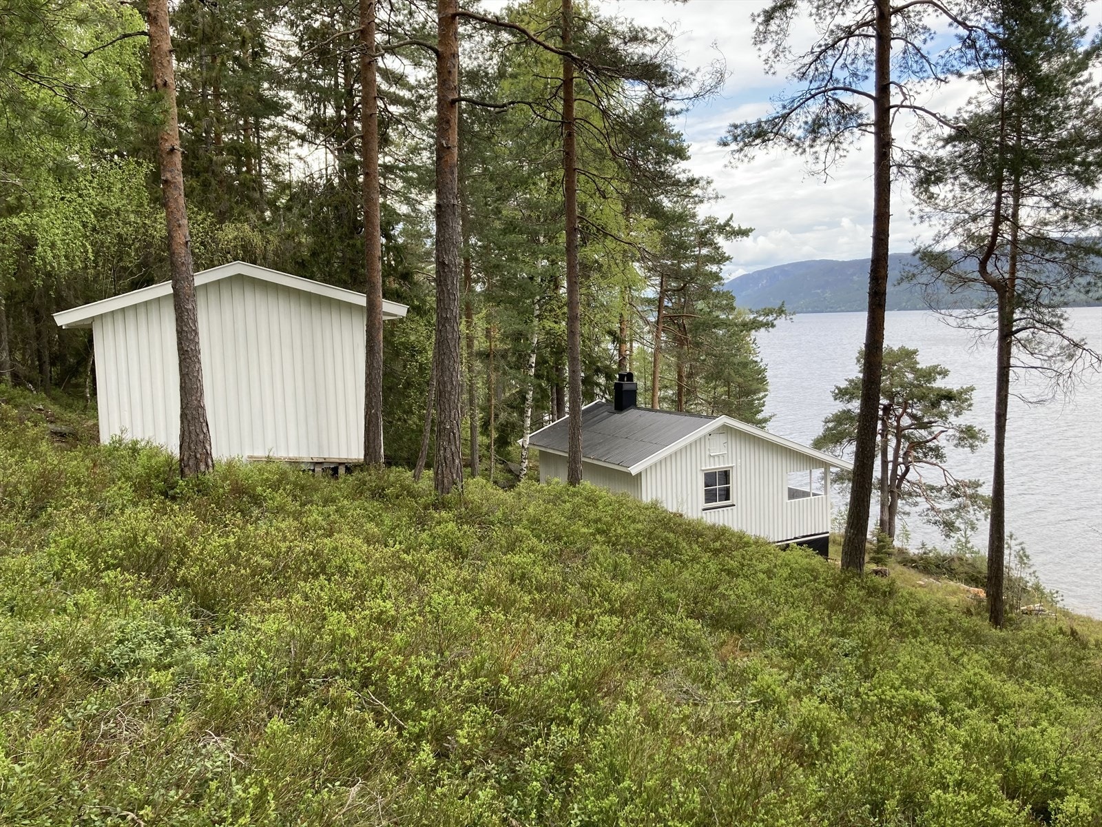 Fint beliggende i naturskjønne omgivelser med kort vei til vannet Galleribilde
