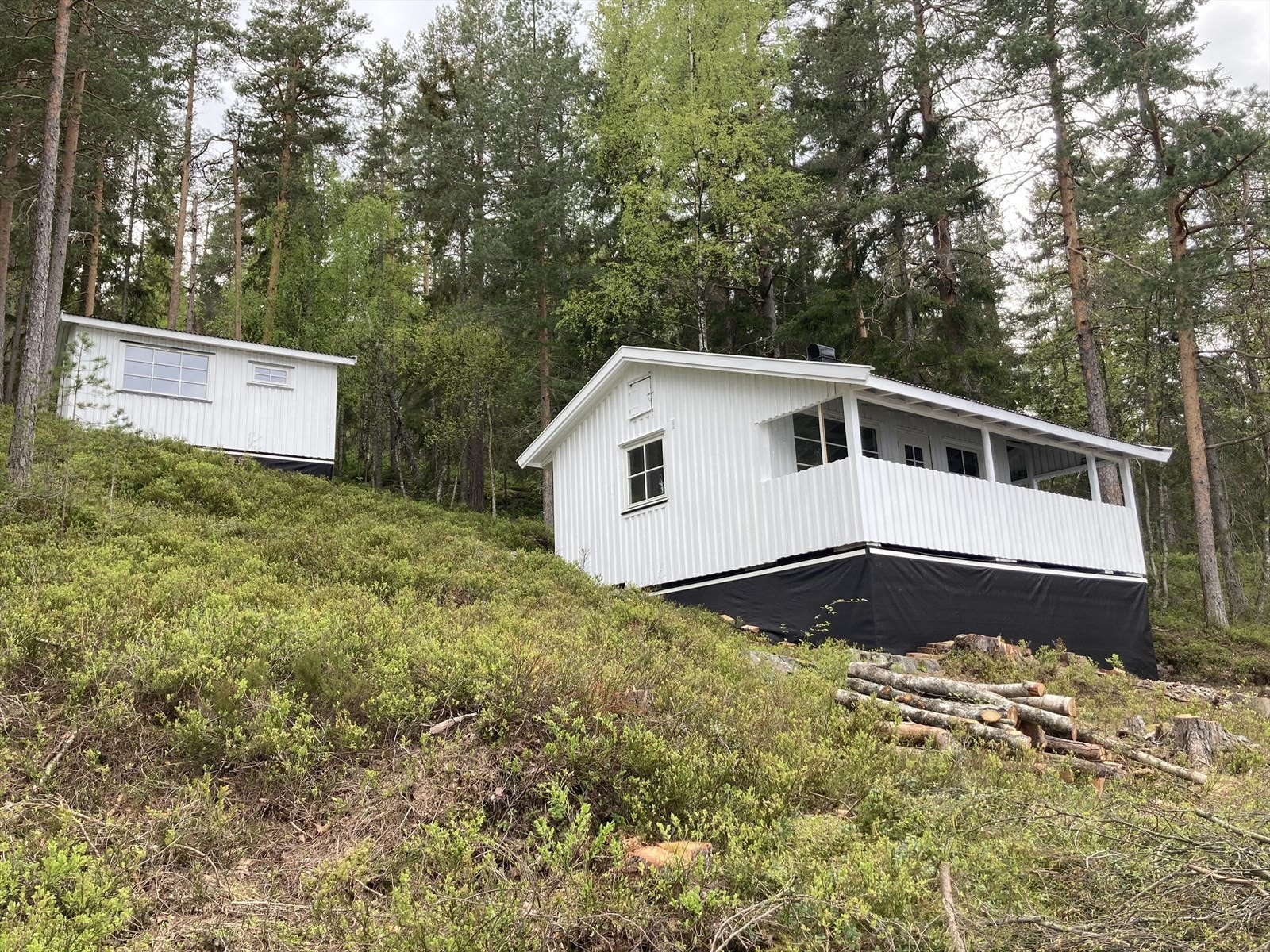 Både hytte og anneks på tomta Galleribilde