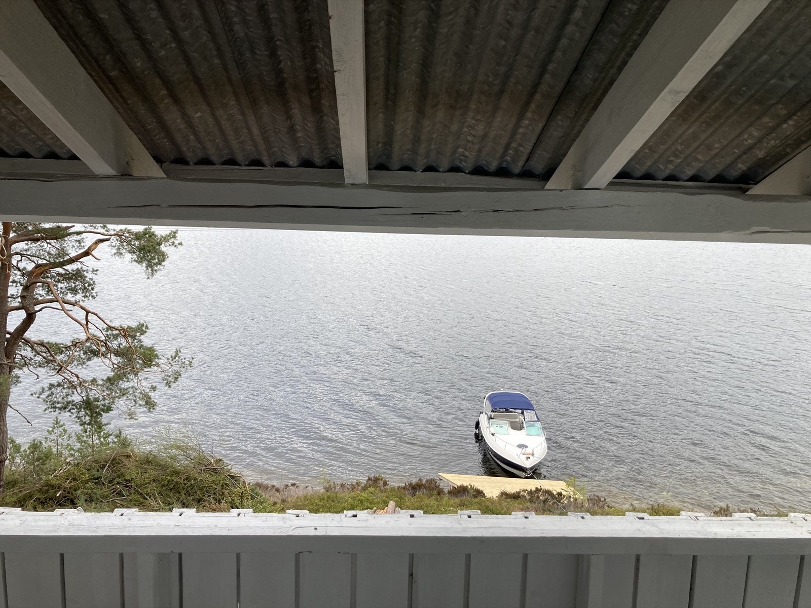 Bilde tatt fra hytta mot vannet Galleribilde