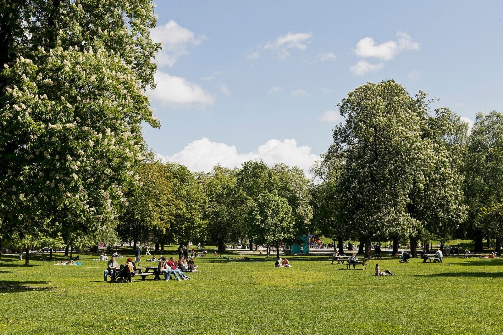- Rusler du nedover gaten kommer du til Sofienbergparken - Galleribilde
