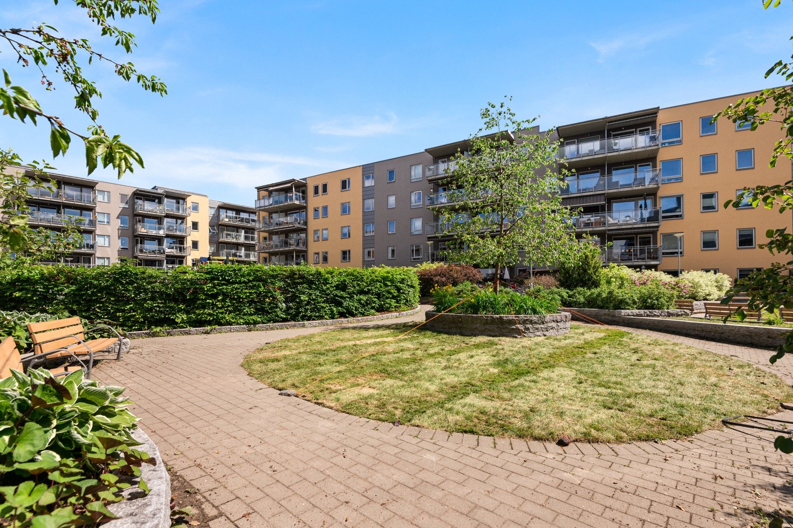 - Sameiets regnskap for 2020 viser et resultat på kr 263.483,- Galleribilde