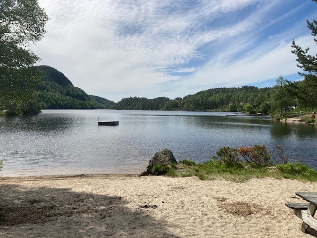 Flott badeplass et steinkast fra hyttene Galleribilde