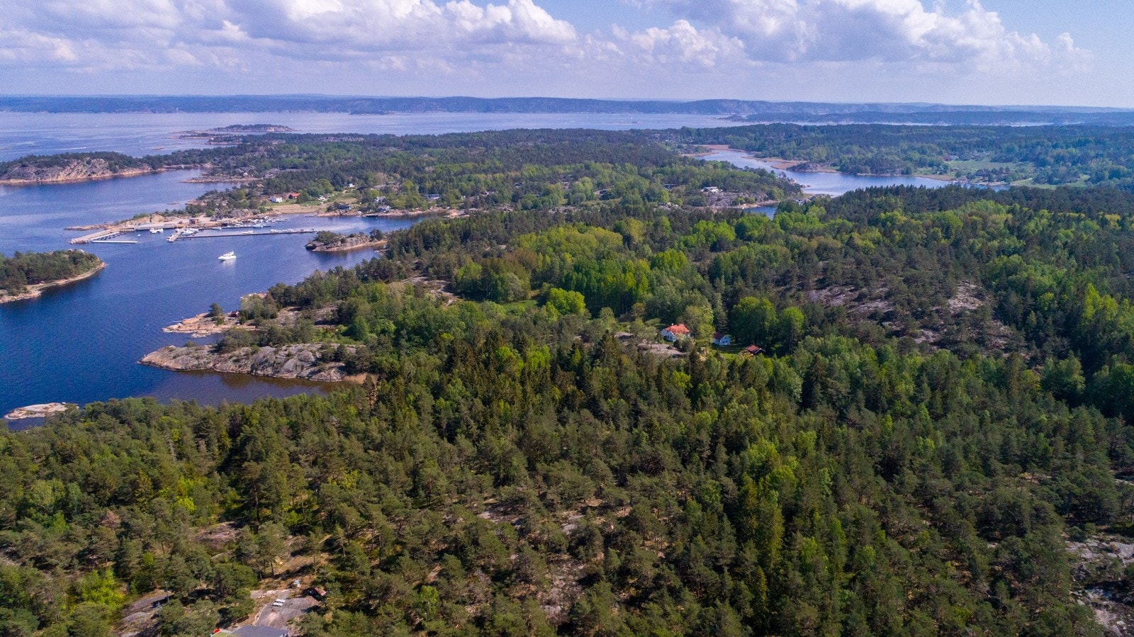 Ikke lange veien til Edholmen Galleribilde