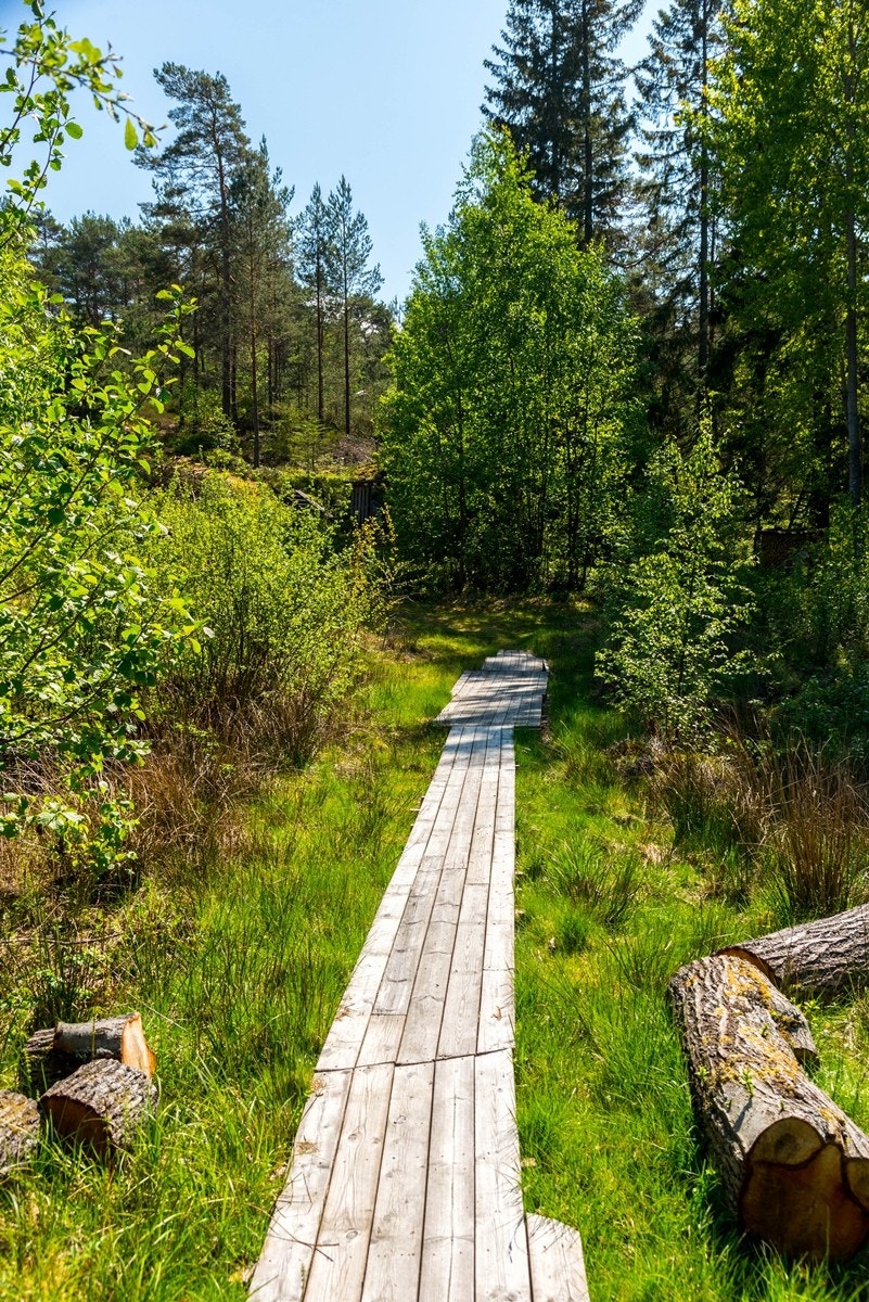 Sti forbi tomten Galleribilde