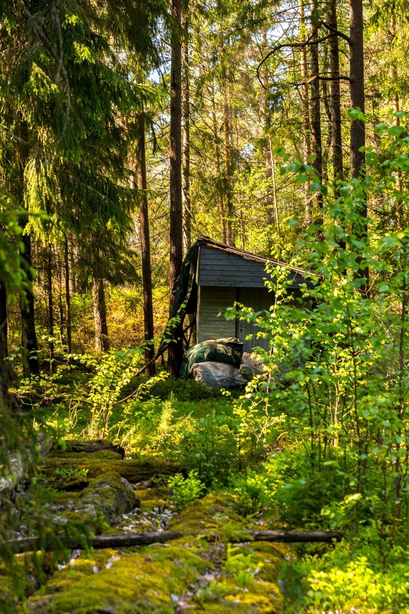 Gammel brakke på tomten Galleribilde