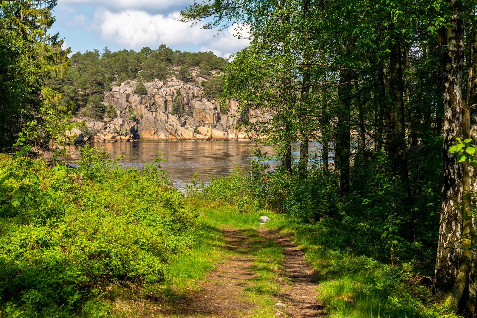 Vei fra sjøen Galleribilde