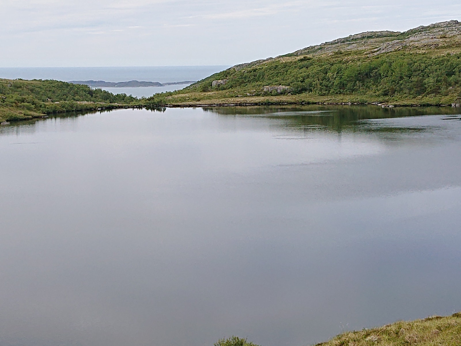 Store Korsvann med Almeningen i bakgrunn Galleribilde