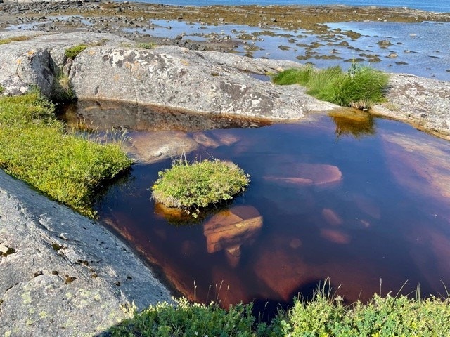 Nede ved strandsone Galleribilde