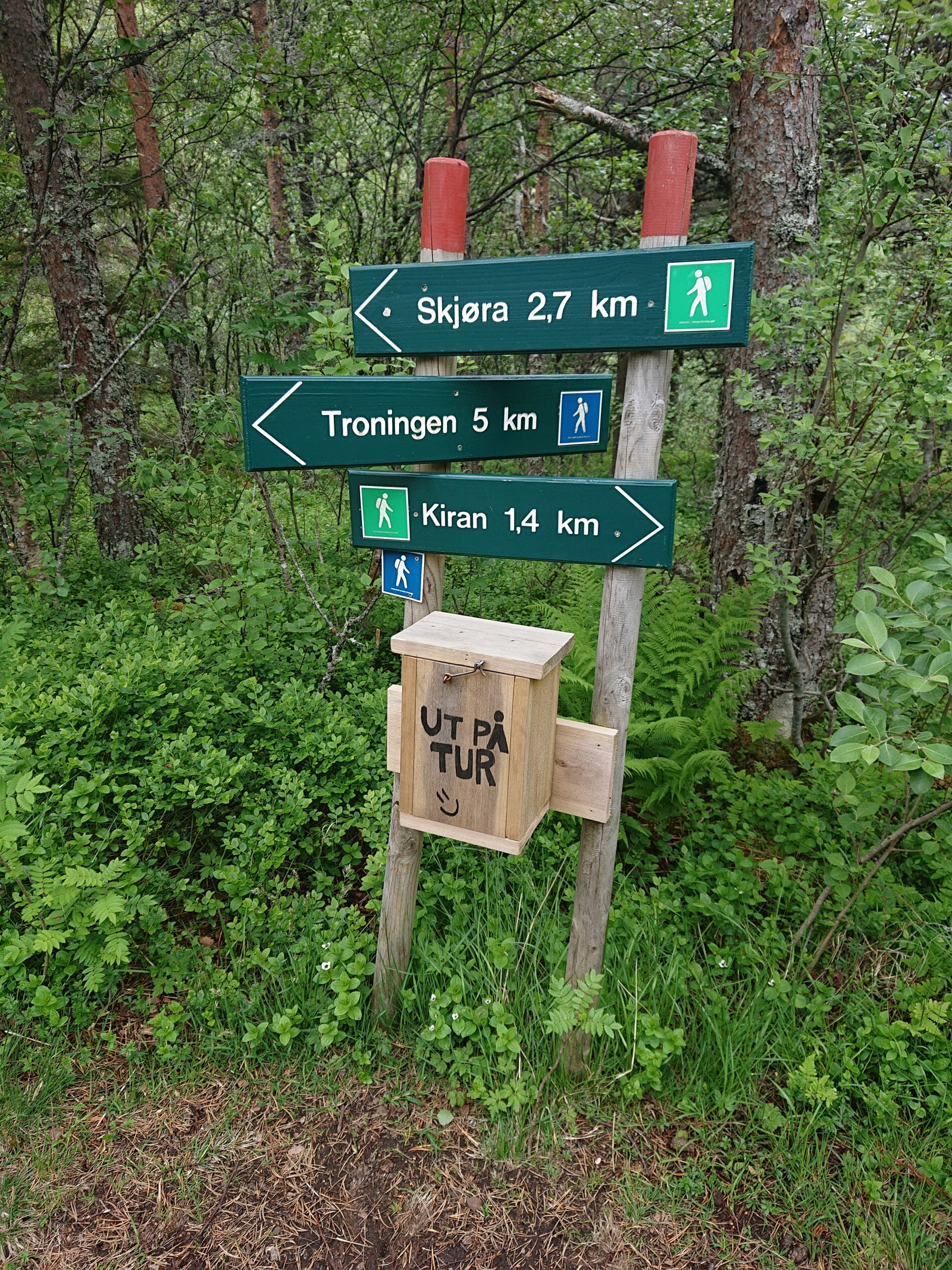 Merket turterreng Galleribilde