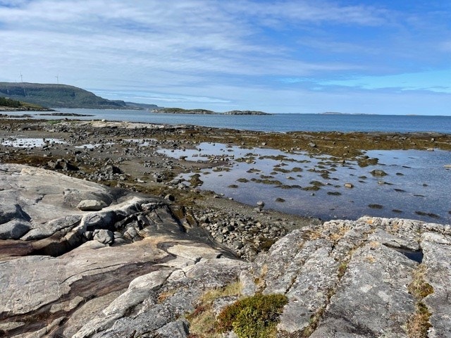 Nede ved strandsone Galleribilde