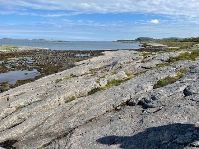 Nede ved strandsone Galleribilde