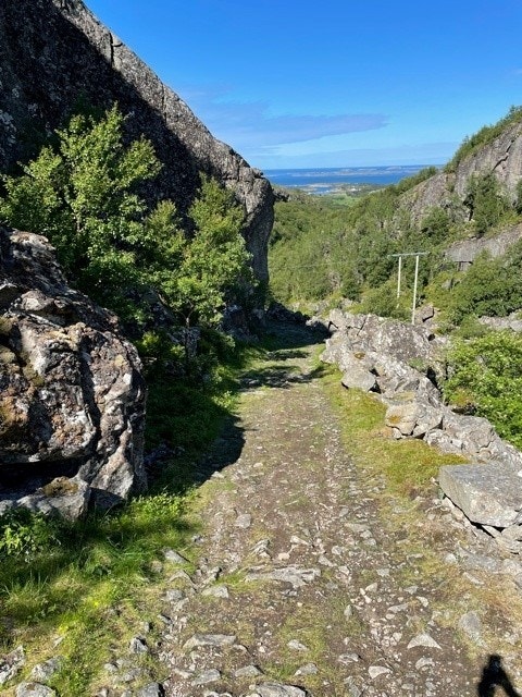 Stien opp til Kiranfjellet Galleribilde