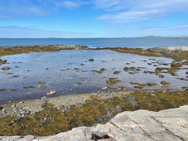 Nede ved strandsone Galleribilde