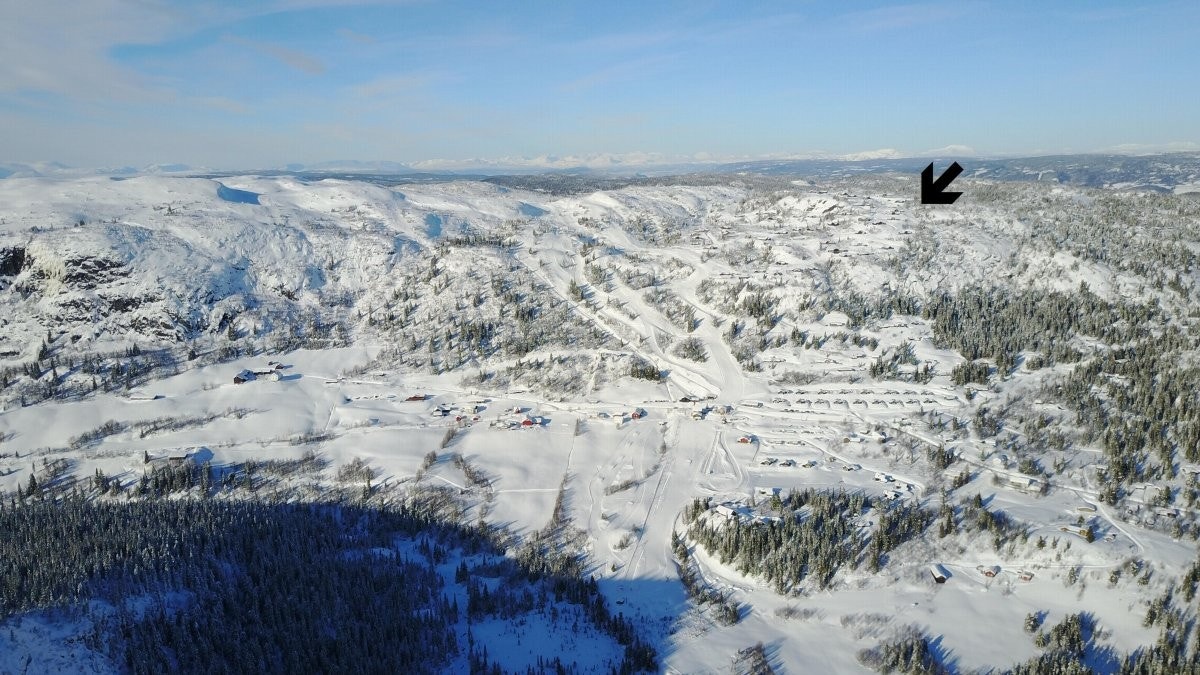 Sort pil mot tomtene Galleribilde