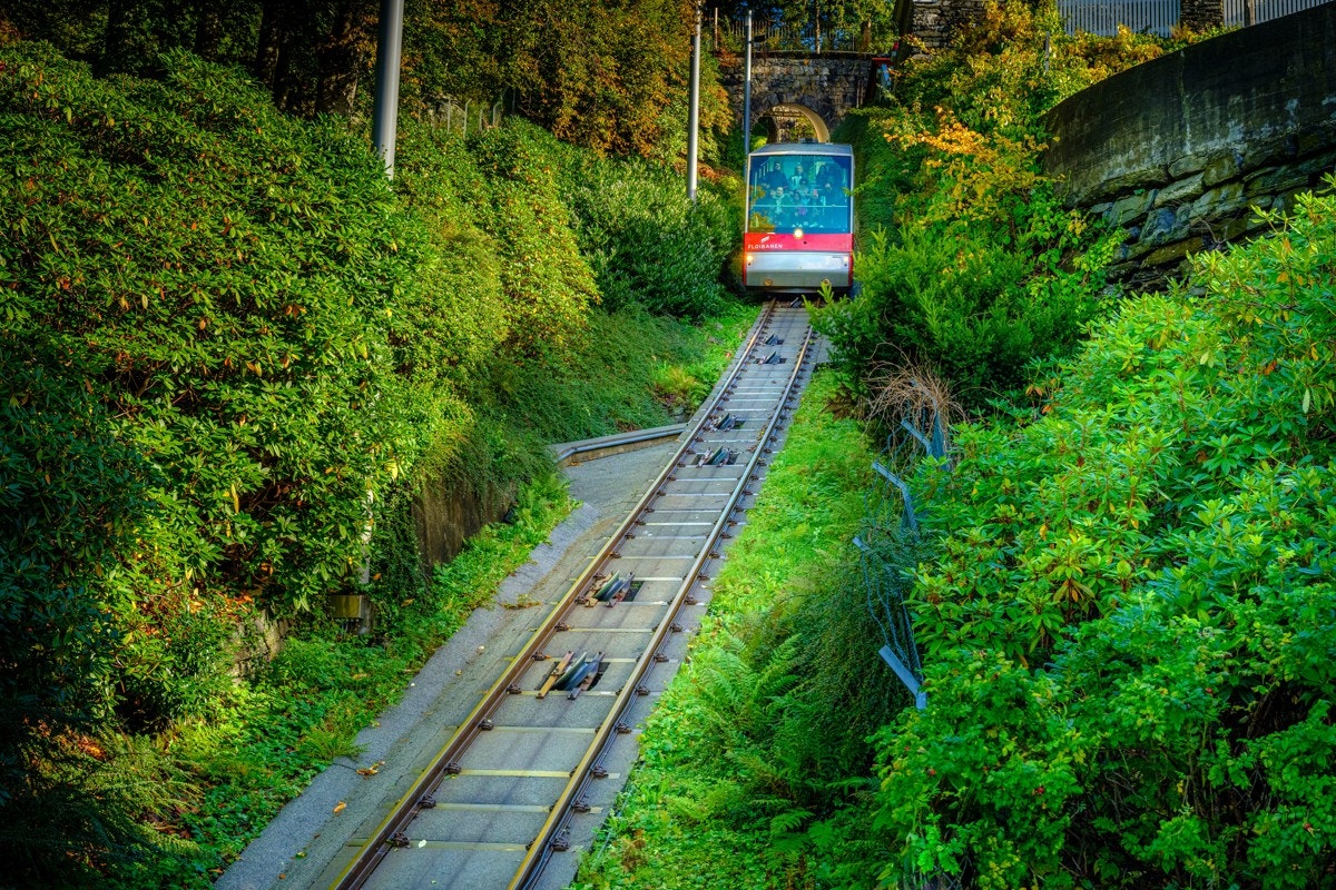 Områdebilde - Fløyen er kun en spasertur unna Galleribilde