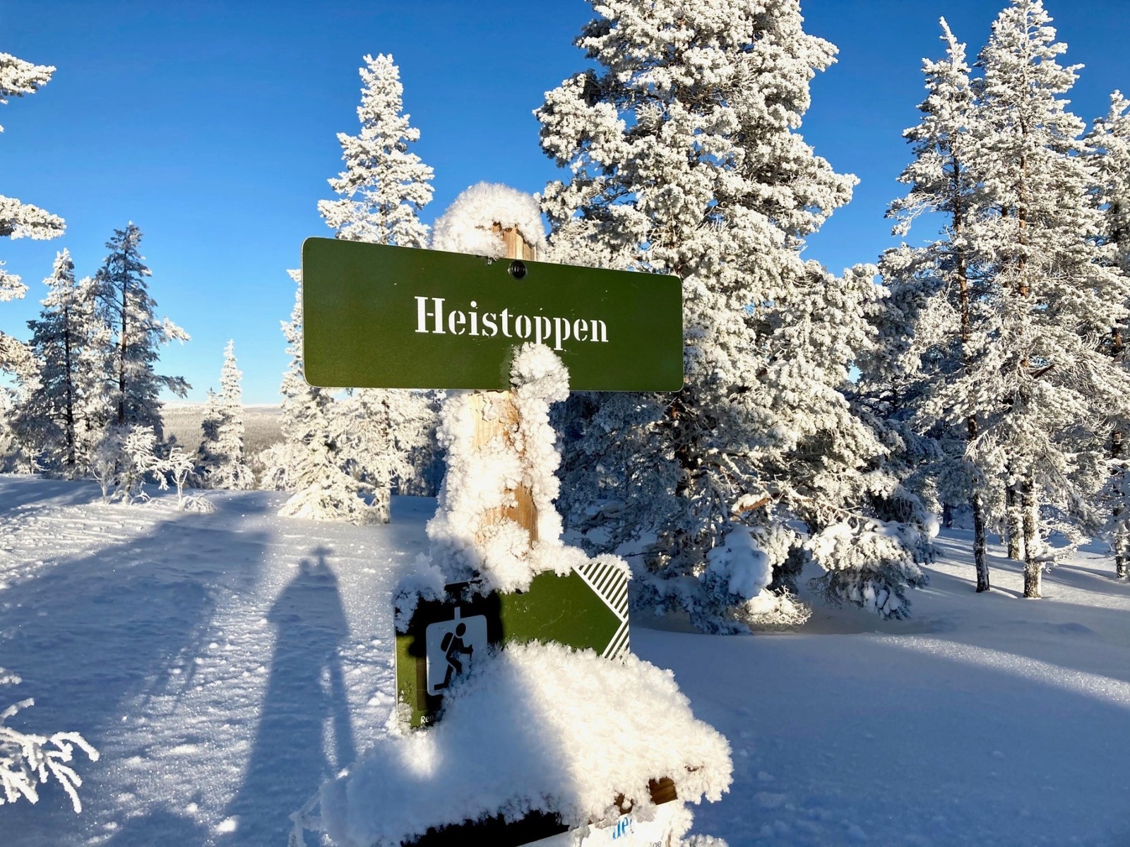 Skiløyper ved tomtegrensen Galleribilde