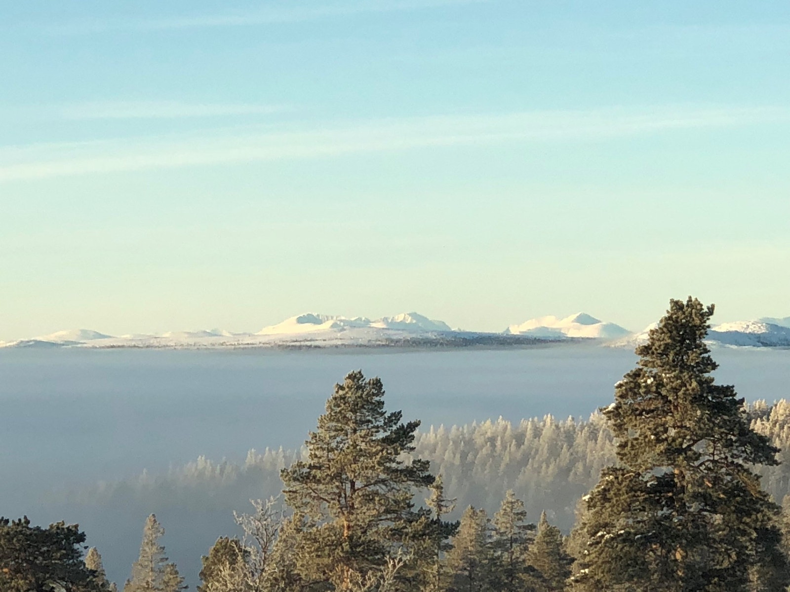 Utsikt fra Bjørnelabben Galleribilde