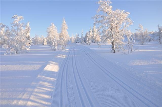 Mange mil med oppkjørte løyper Galleribilde