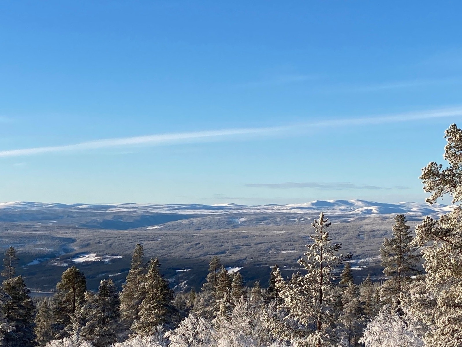 Fra tomten - Vest Galleribilde