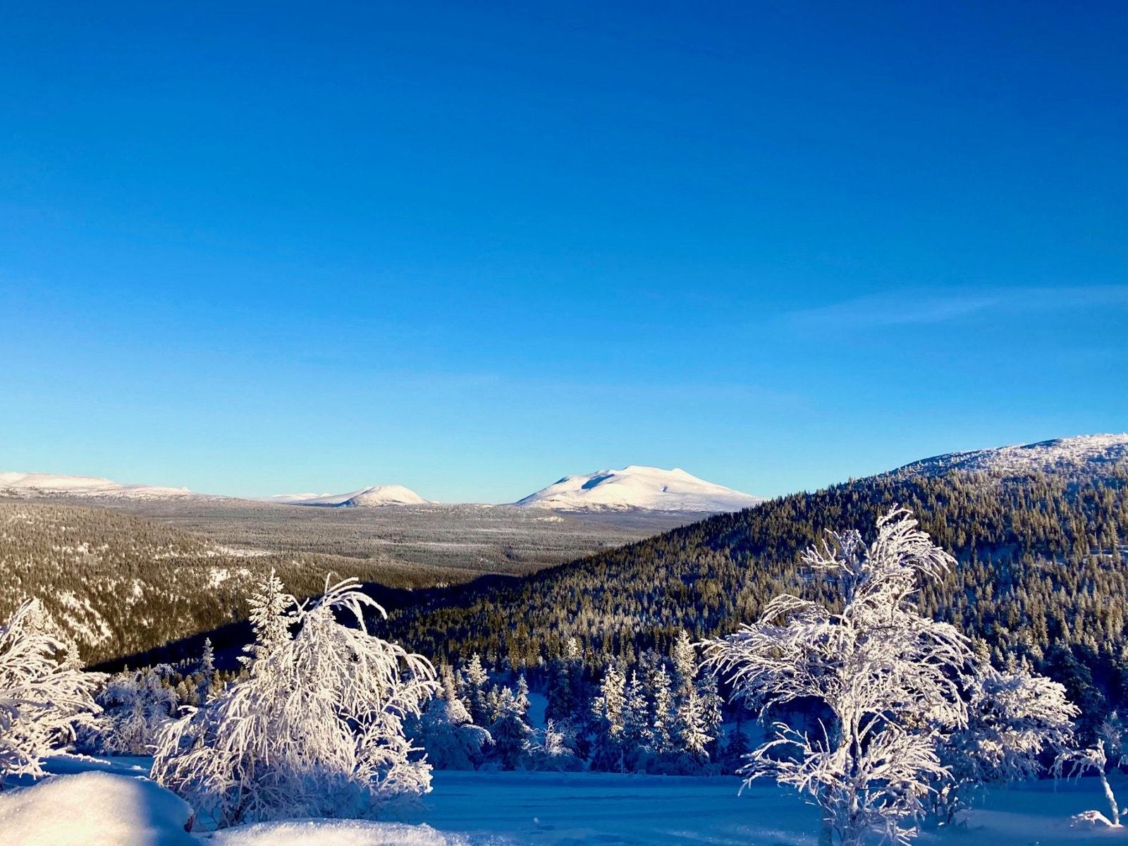 Mot Sølen Galleribilde