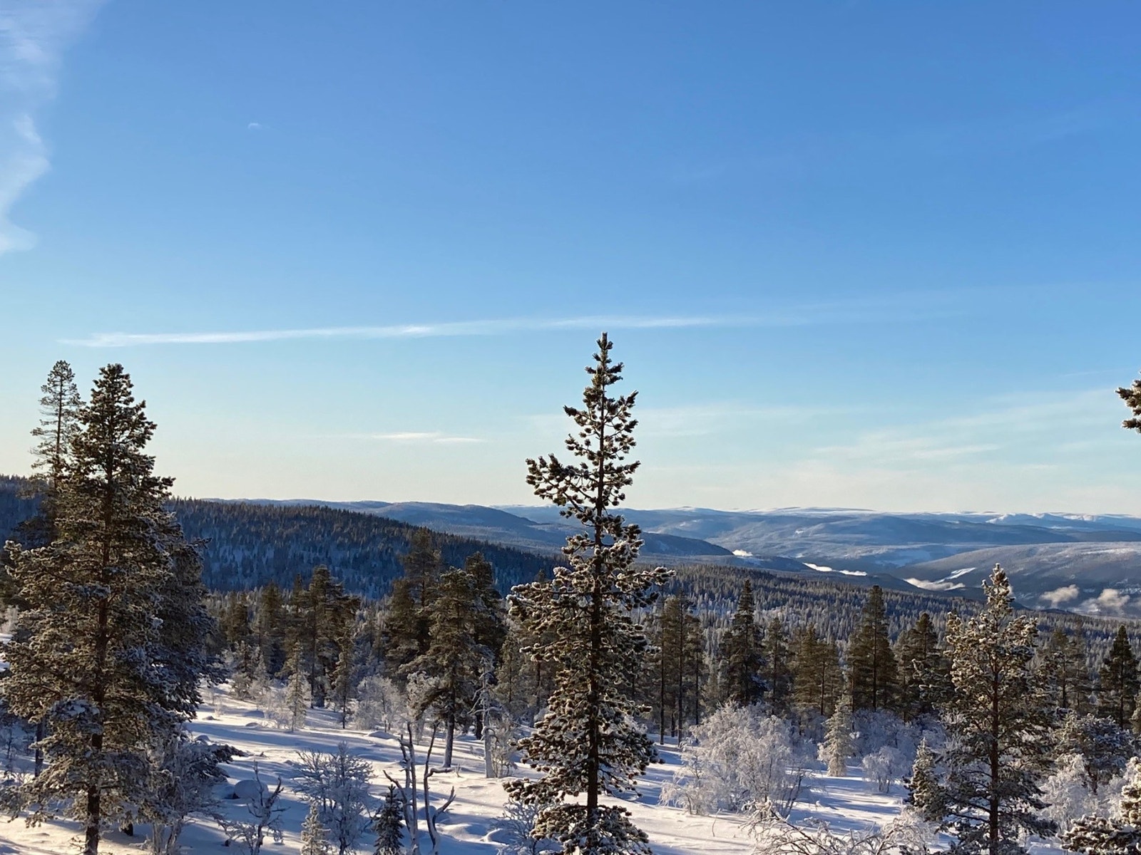 Fra tomten mot Sør-Vest Galleribilde