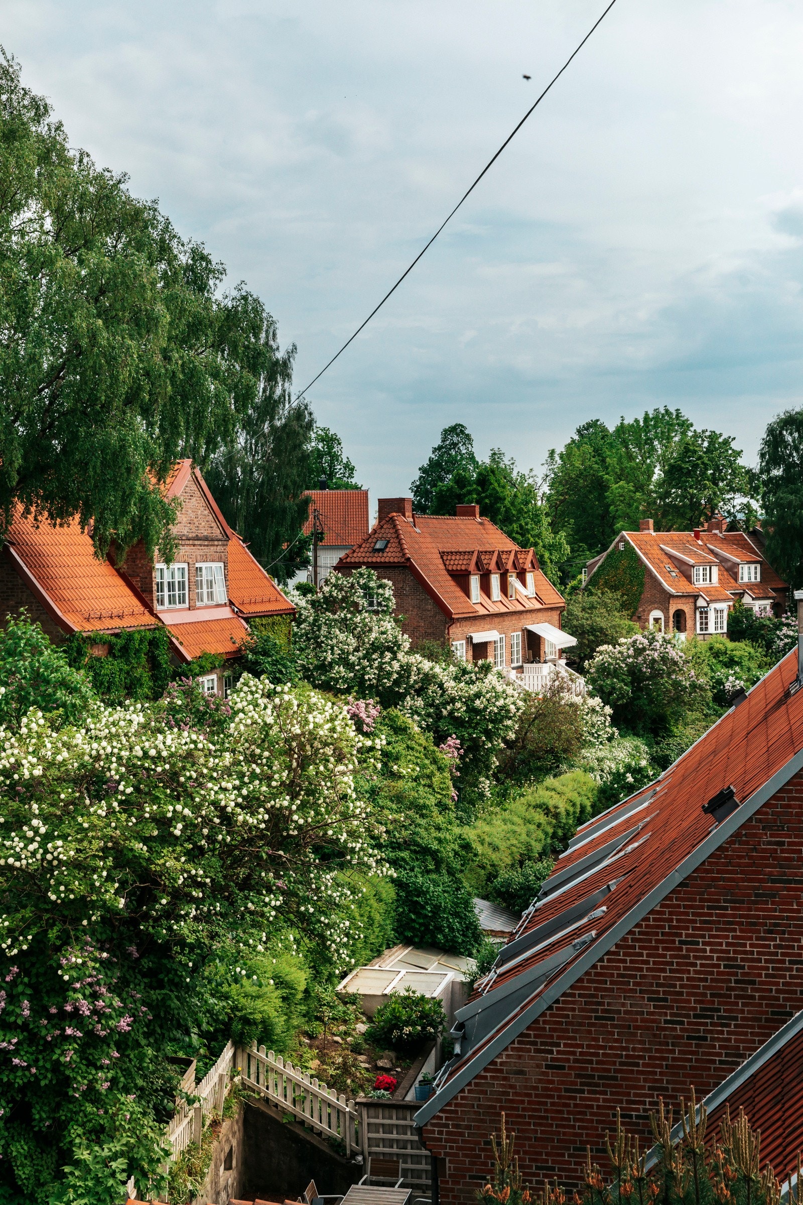 Utsikt fra hovedsoverommet. Galleribilde