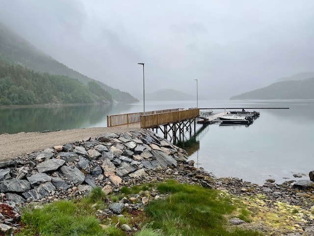 Bilde fra området Galleribilde