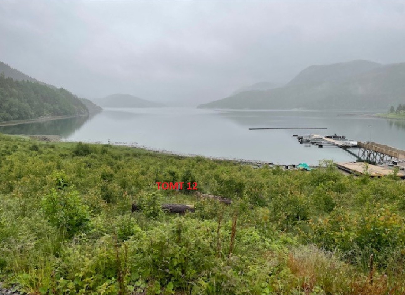 Bilde fra området Galleribilde