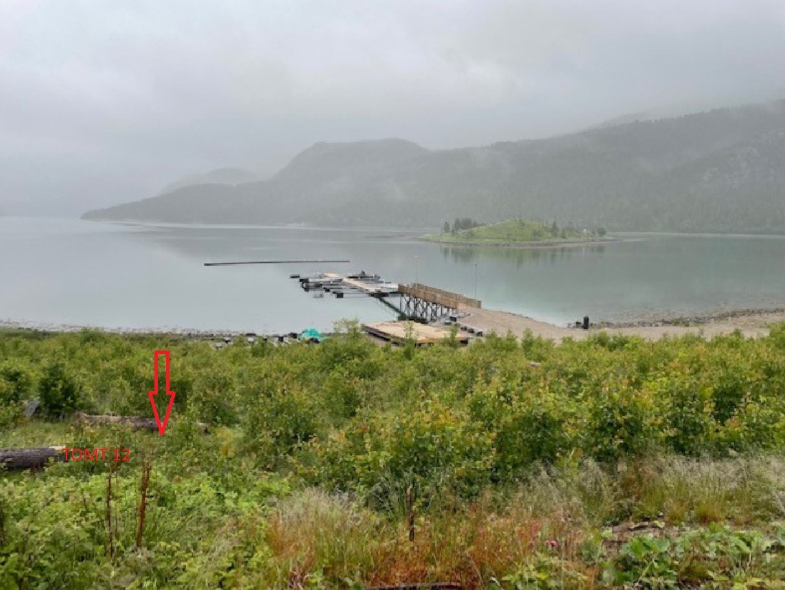 Bilde fra området Galleribilde